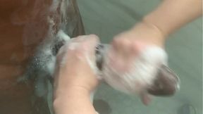 Step sis sucks step bro's massive BBC alone at home