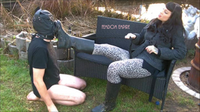 The dog licks the boots clean