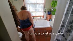 Titillating toilet collection no 13