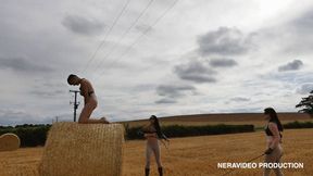 WILD AND RURAL DOUBLE DOM -Mobile version-