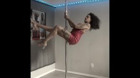 Exotic Pole Dance Performance That Will Leave You Breathless