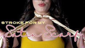 Stroke for My Satin Scarf