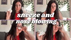 Sneeze and Nose Blowing