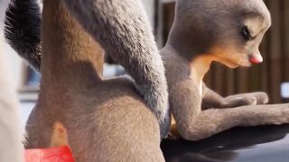 Heterosexual Furry Penetration Sex