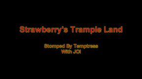 Stomped By Temptress With JOI