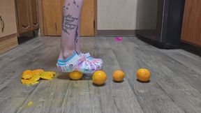 Croc food destruction 3