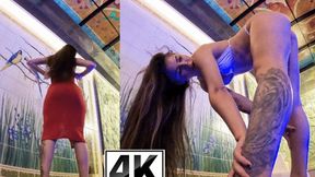 1588 stripper dress off and bend over - 4K