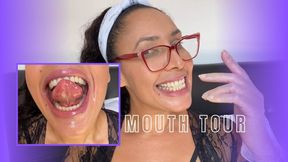 Mouth tour VI