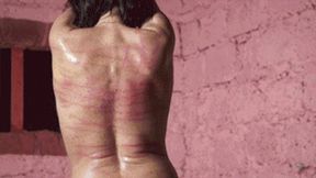 MILF BULLWHIPPING & CANING - wmv HD