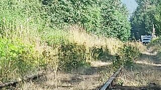 Blue haired Cougar mastrubates and ejaculates into outdooron the train tracks