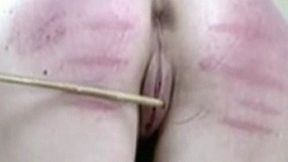 The Cane Clip One