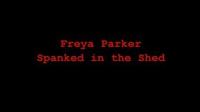 Freya Parker Spanked in the Shed