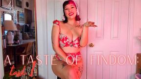 A Taste of Findom: Task 1