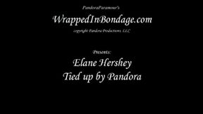 Pandora Ties up Elane Hershey