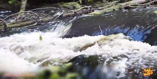 Elden Ring. Melina Shows Her Holes in Forest