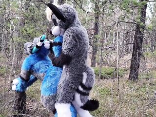 Lustful furries screw in the wild
