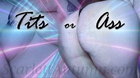Tits or Ass - WMV HD 1080p
