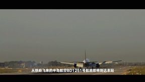 YT1657 Please Turn On Your Phone When Landing