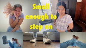 Small Enough to Step On 4k