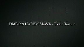 Harem Slave - Tickled pt 1 wmv HPDP-029 - HD