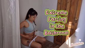 I wreck the toilet farting stinky
