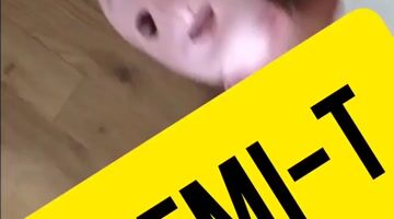 RevealMe.com - Demi-T