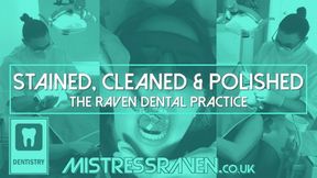 [939] Stained Cleaned and Polished The Raven Dental Practice