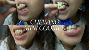 CHEWING MINI COOKIES