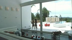 The Sexual Exhibitionists