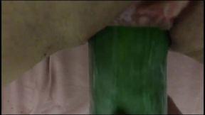 tight pussy gets stretched by big cucumber - latinos puercos