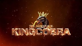 now i know why they call you the king: venus rising gets bbc training from king cobra