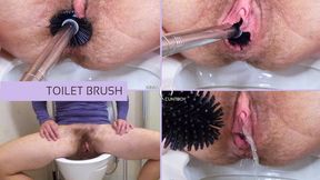 Hairy Slave Pussy Pees Cleaned out with a Toilet Brush on the Toilet (WMV)