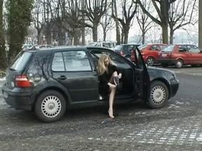 Flash In Public 4