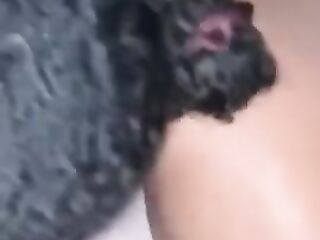 big beautiful woman Sucks White Knob in Car Untill it Cums