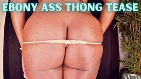 Ebony Ass Thong Tease ft Queen Ava - An ebony panty fetish scene featuring: ebony ass fetish, trimmed pussy, cock tease, amateur, big butts, topless, and thigh high stockings - 720 MP4