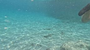Girl handjob stranger underwater and he cum