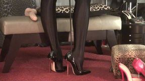 Slick Glossy Black Tights and Highest Black Heels to Worship.