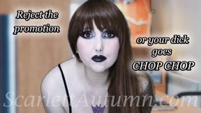 The promotion or your dick? - WMV SD 480p
