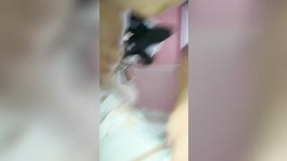 Ehab w hnaaa2 gamden neek