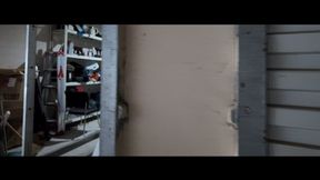 YT2550 Walking Hogtie