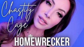 Chastity Cage Homewrecker Me vs Her - Jessica Dynamic