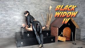 MISTRESS GAIA - BLACK WIDOW IV - mobile version