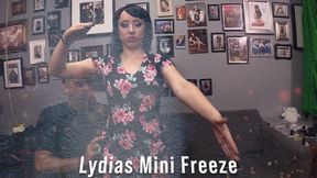 Lydias Mini Freeze 1