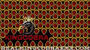 Meet Me at the Gape, Where Thickk Amanda Goes Black and Blue for King Cobra's Wild Ride
