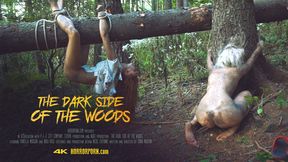 As darkness beckons, forest beckons forbidden fleshy encounters: 'The Dark Side of The Woods'