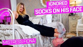 Ignored with my musty socks in his face ( Ignoring &amp;amp;amp; Socks Domination with Mistress Fiona ) - 640p wmv