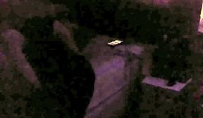 young papi chulo cums in my pussy