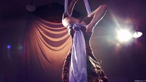 Sexual Acrobatics Of Arya Fae