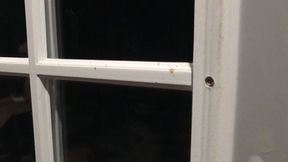 WISCONSIN NEIGHBOR BEGS FOR ANAL CREAMPIE POV