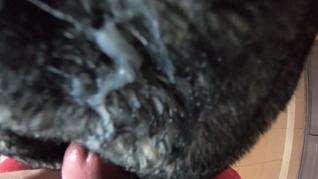 Blow-job, fuck and cum playing with my impotent husband friends while wearing a fur coat
